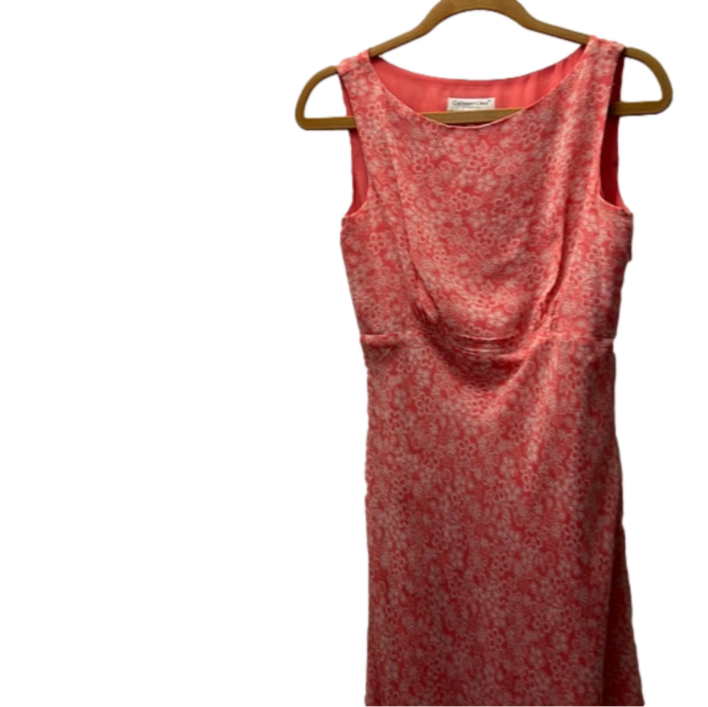 Womens Dress.       #530